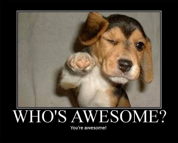 who is awesome